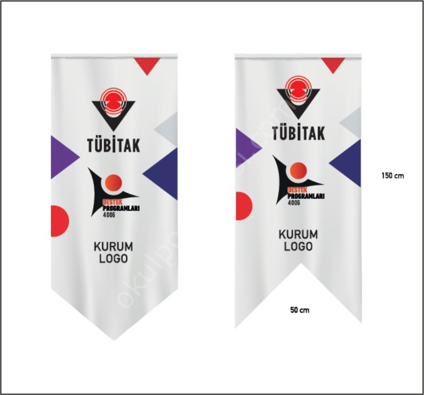 Tübitak 4006 Kırlangıç Bayrak 2